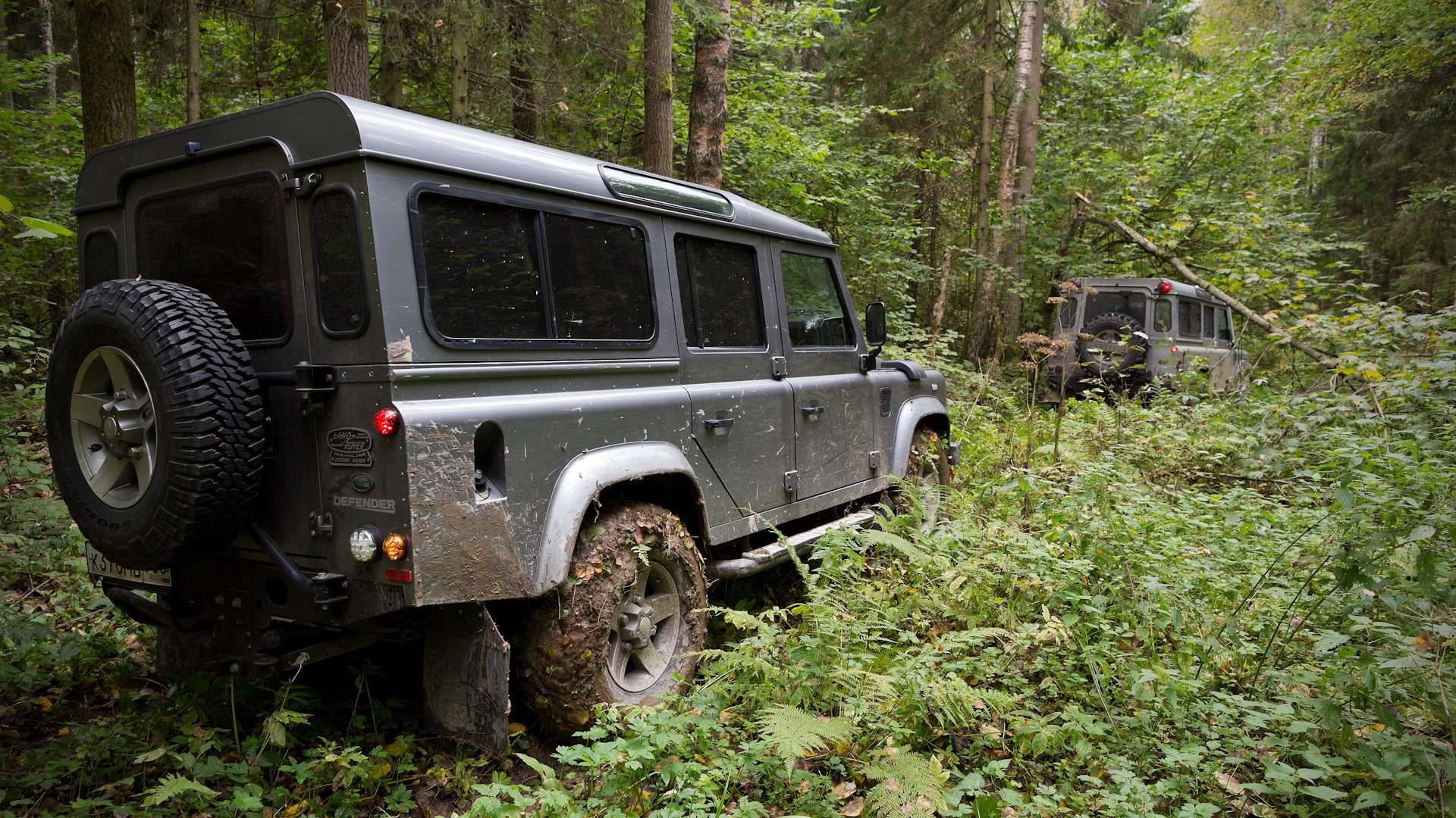 Сергиев посад, р-н Семхоз. Аномальный лес. 11.09.2016 Фото/видеоотчет —  Land Rover Defender, 2,2 л, 2012 года | покатушки | DRIVE2