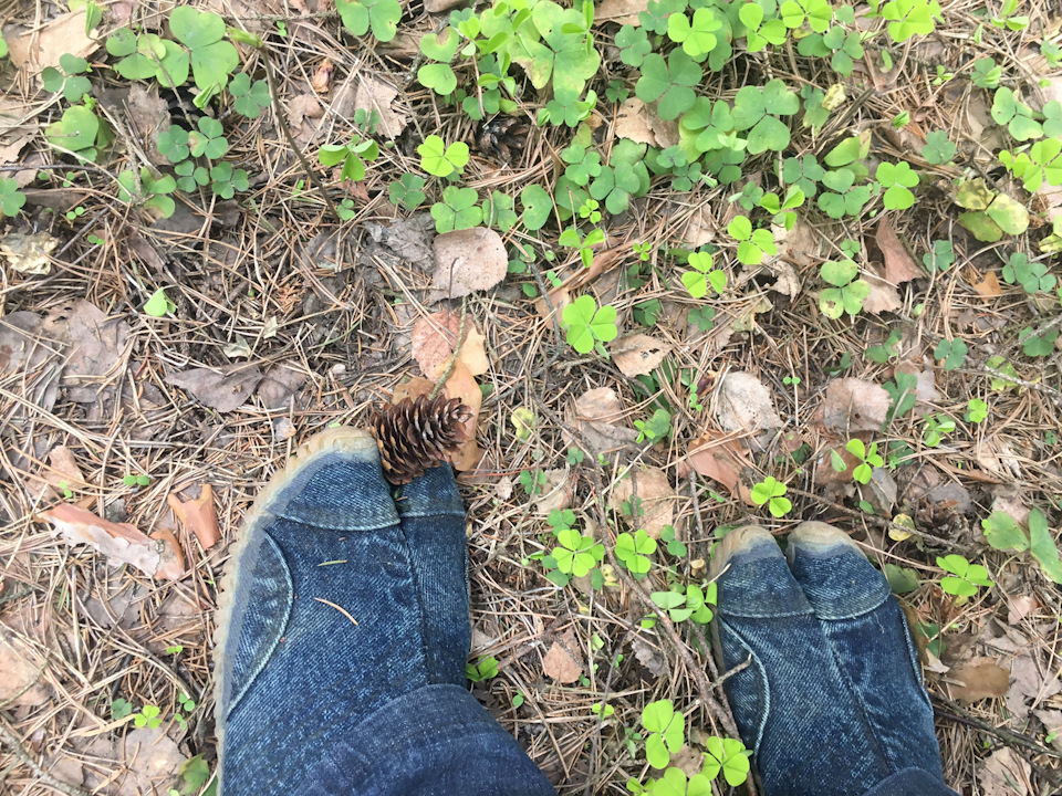 Фото в бортжурнале Nissan Note (1G)