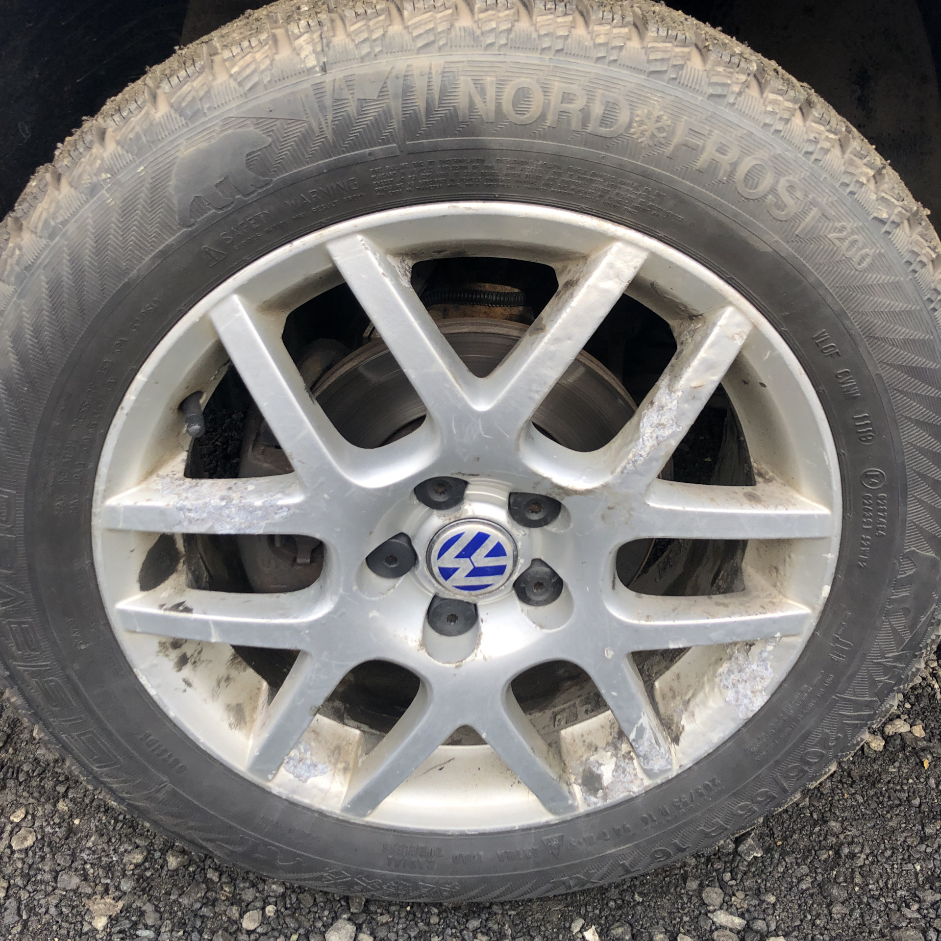 Brand new BBS Montreal — Volkswagen Golf Mk4, 1,4 л, 2001 года ...