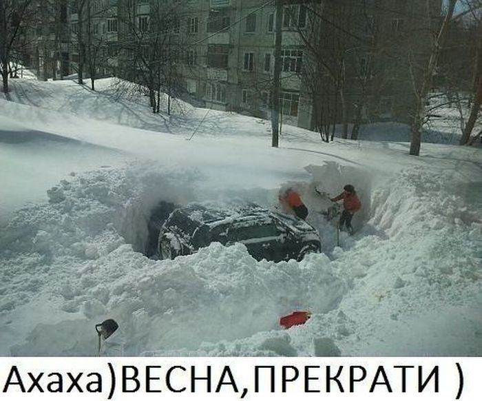 Картинки февральские метели я не хочу на улицу смешные, гифы машины