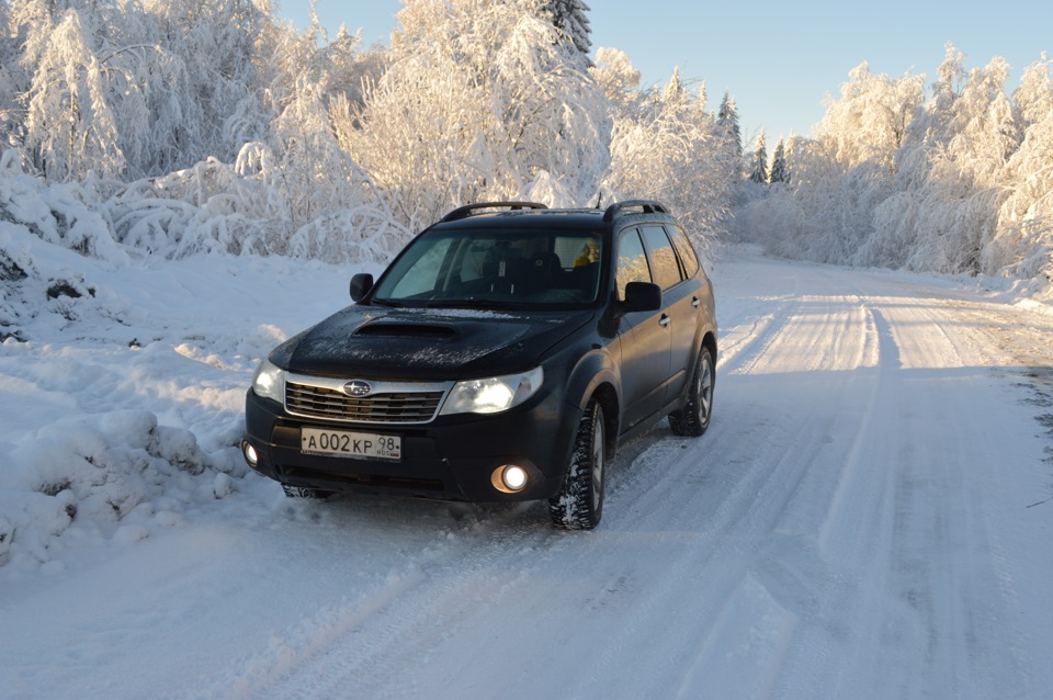 Subaru Forester Snow