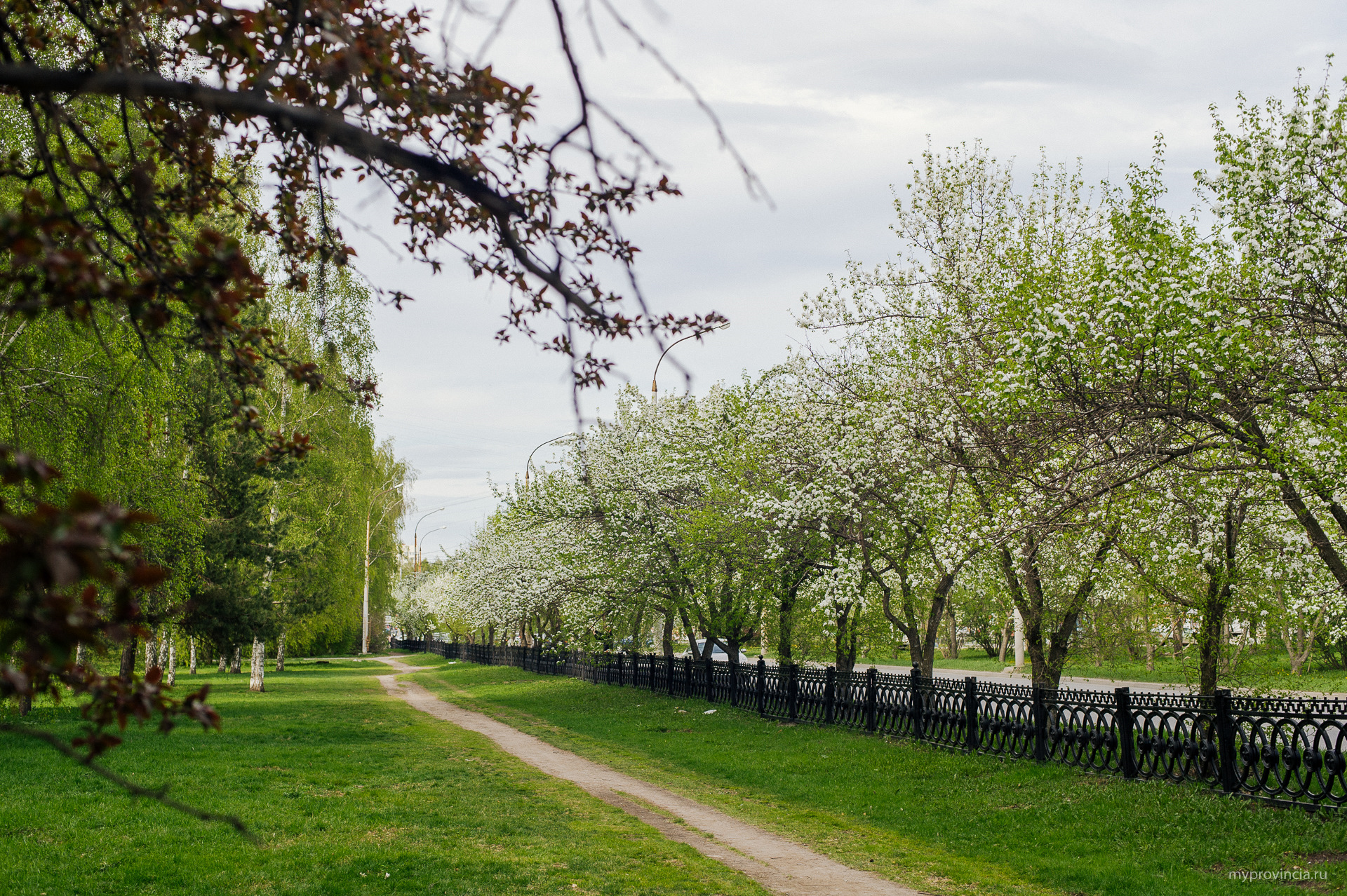 Парк чкалова екатеринбург фото