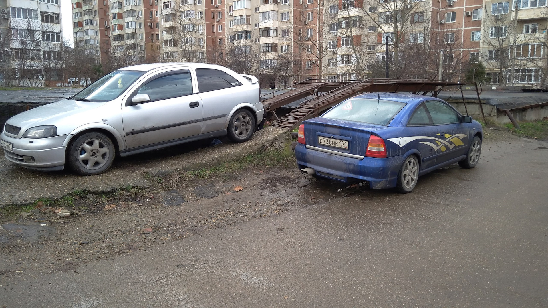 Такой гостьи тут еще не было