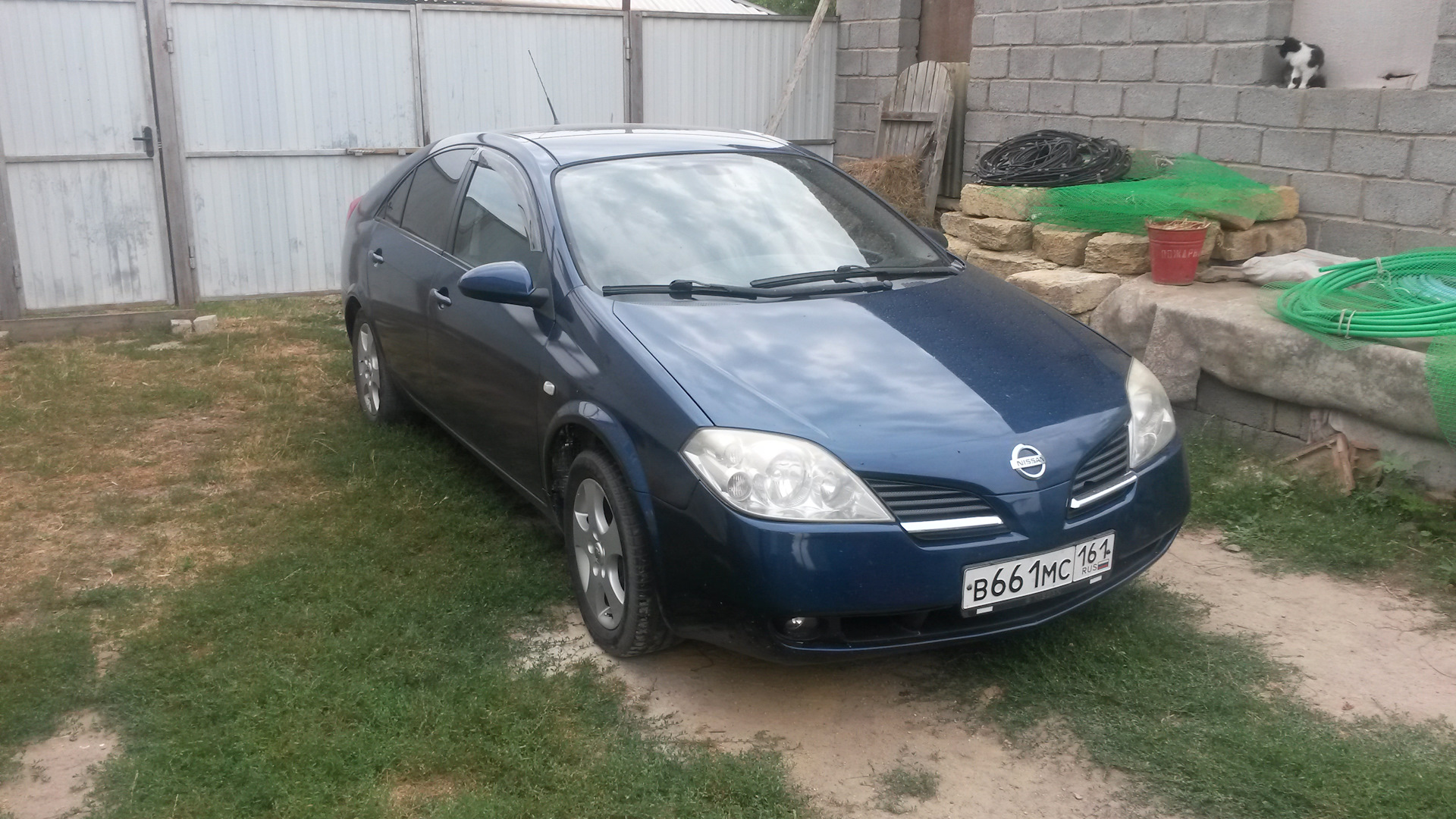 nissan primera p12 вариатор