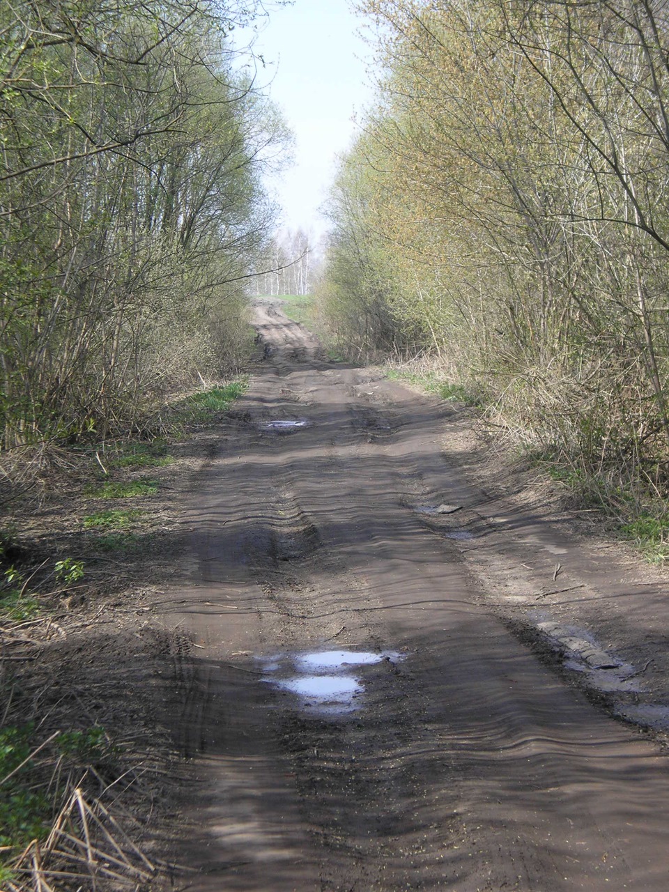 Старая Гать. Гать. Гать на болоте.