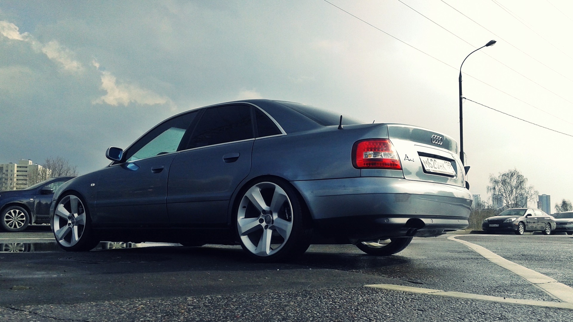 Audi A4 (B5) 2.4 бензиновый 1999 | Wild cat / 20