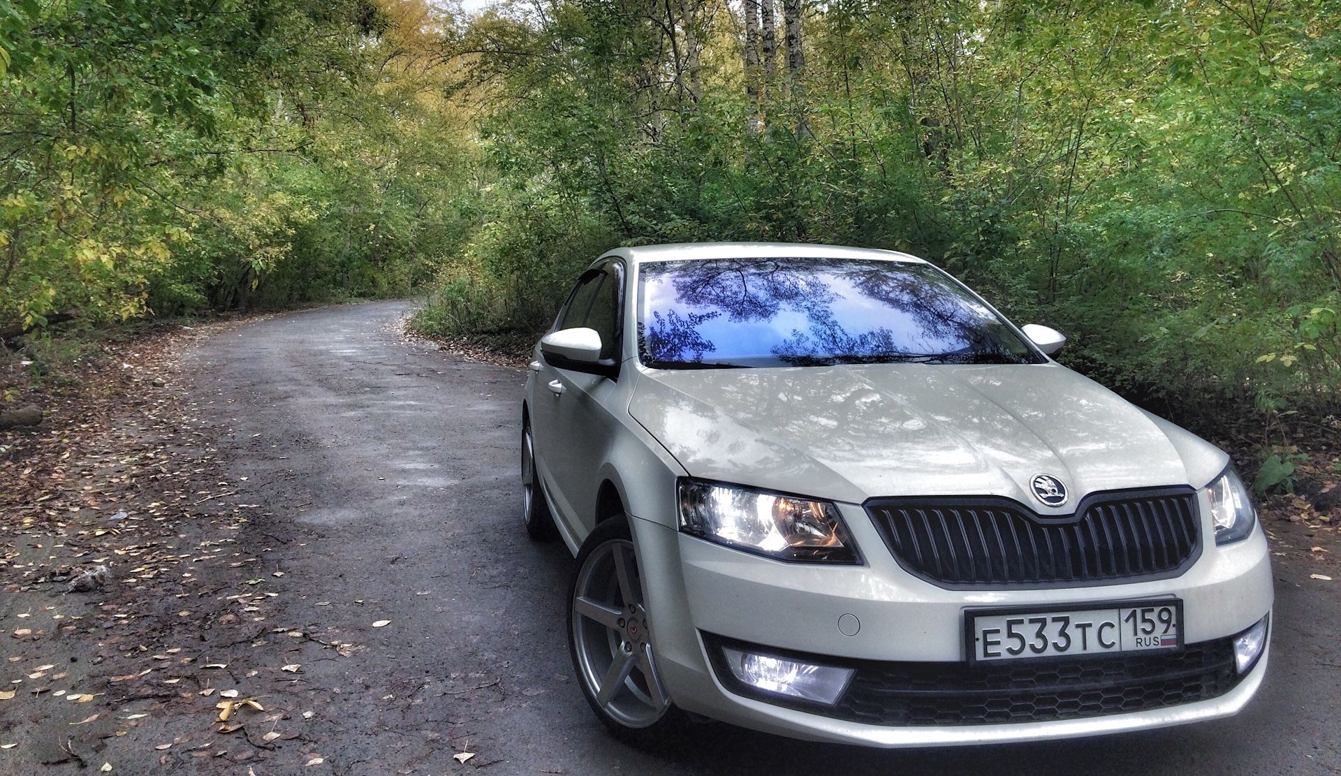 Skoda octavia серая