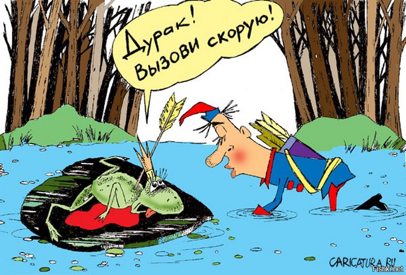 Самые смешные дураки