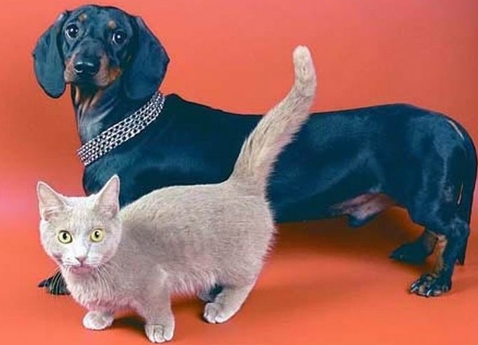 28965du 960 дропнуть машину что значит