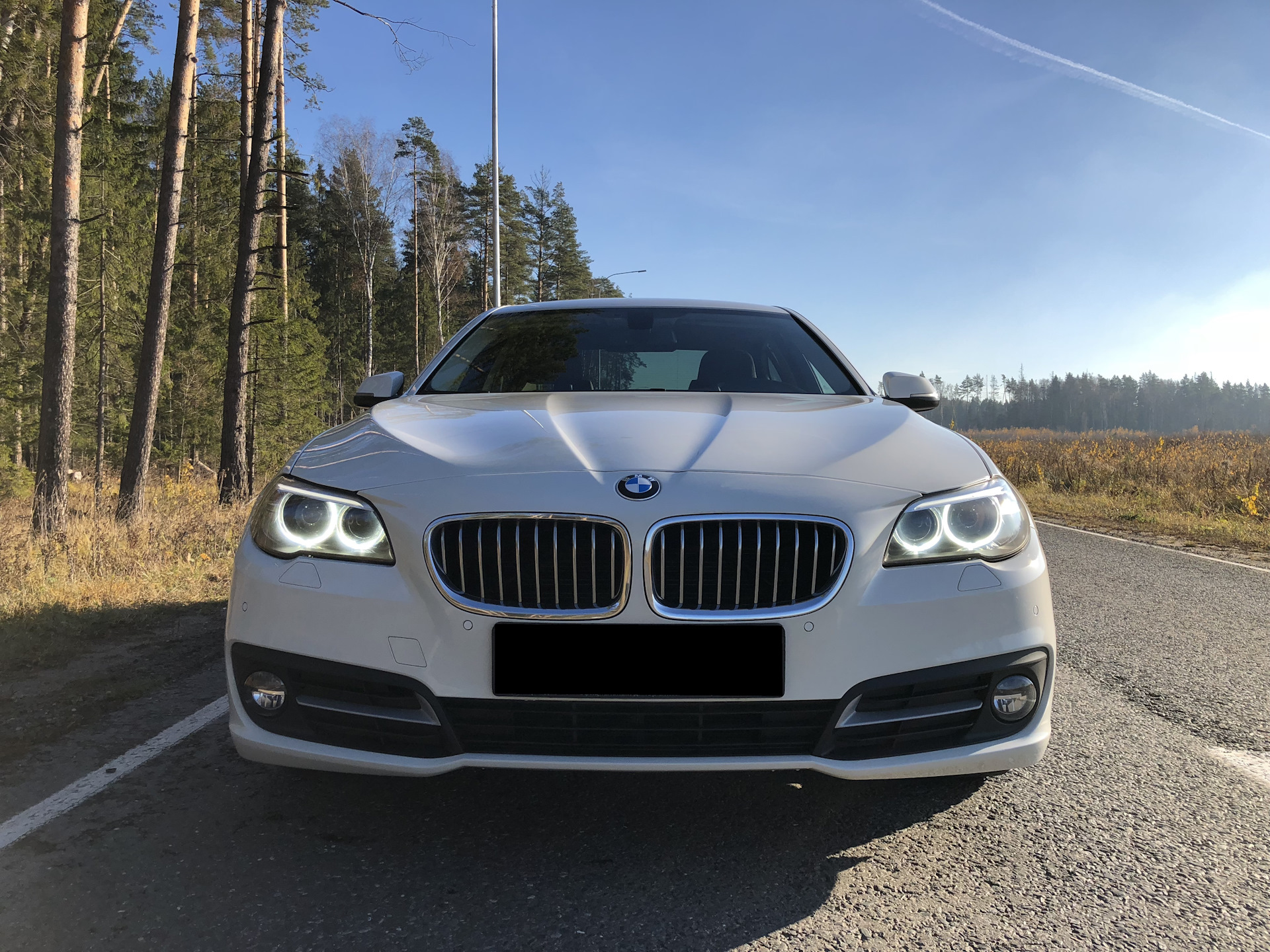 Bmw 520i. BMW 520i 2016. БМВ 520i 84. Давыдыч БМВ 520i.