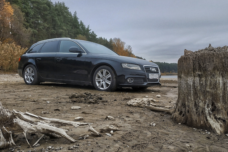 Я такая кваттра, езжу где хочу… — Audi A4 Avant (B8)