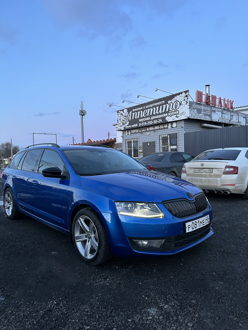 Откидные рамки на RCS — Skoda Octavia Combi A7 Mk3, 1,8 л, 2015 года |  тюнинг | DRIVE2