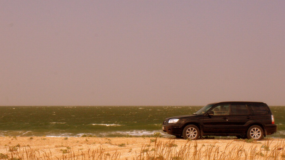 Сколько ходят колодки задних тормозов на нетурбо Форе? Ответ читать ...