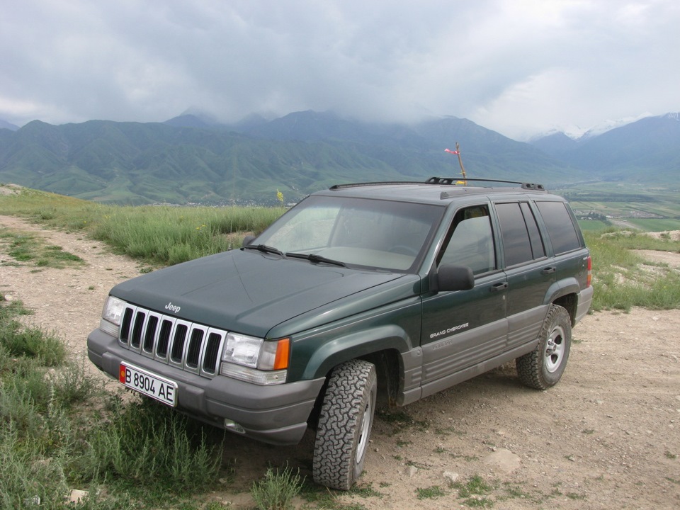 Laredo Escort