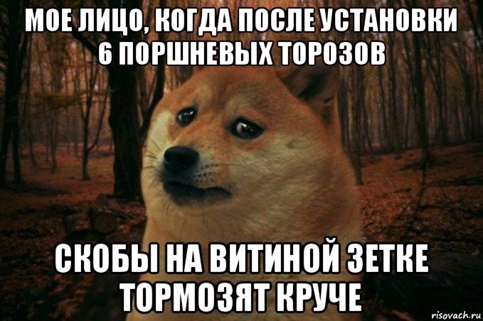 Мем про писюн собаки