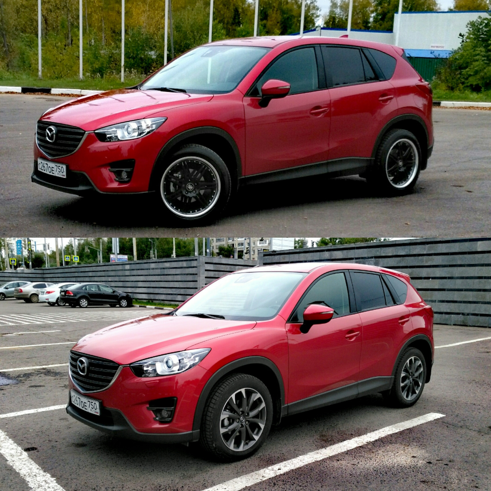 Mazda cx5 Vinyl