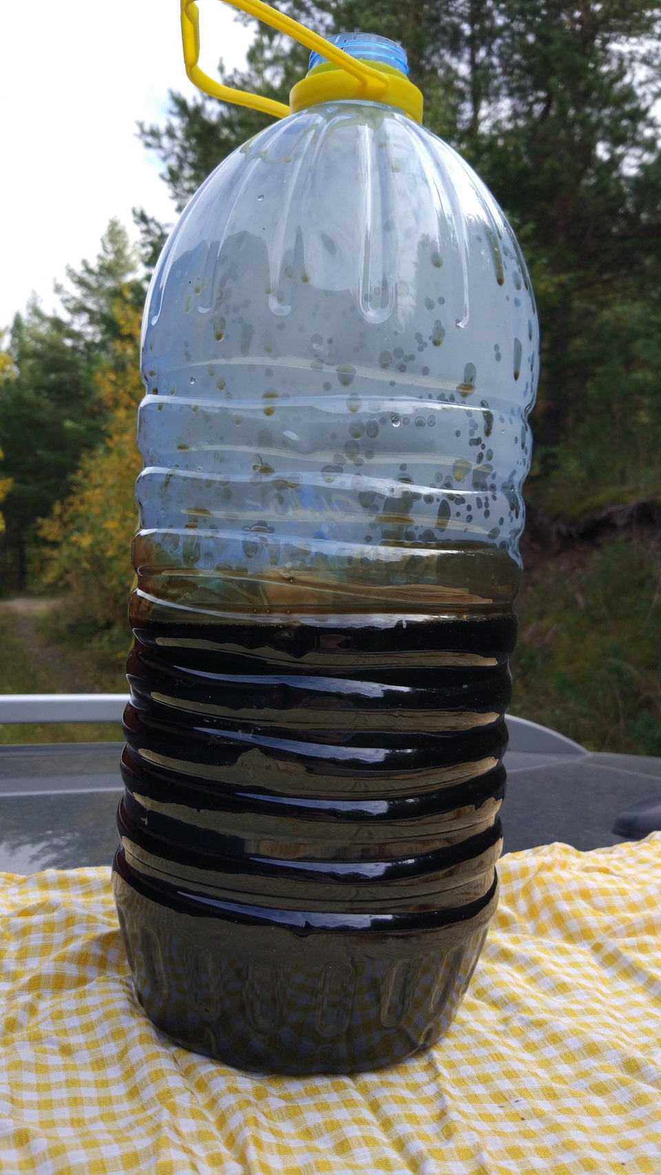 Промывка мотора G4FC димексидом в масло и топливо — Сообщество ...