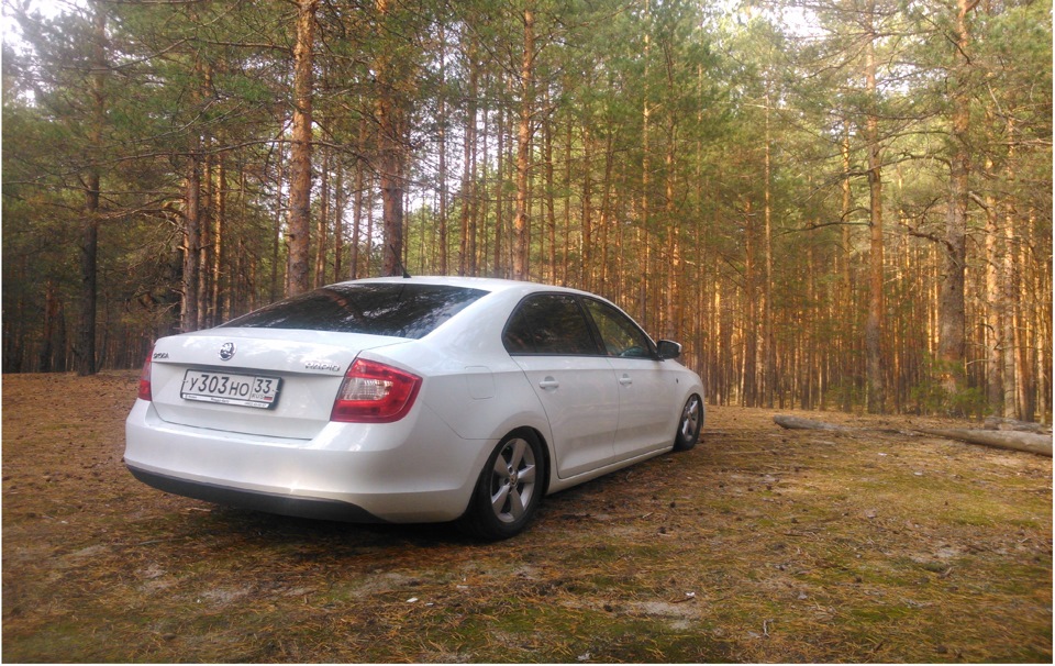 наверное последние теплые деньки а грибов так и не нашли ))) — Skoda Rapid (1G)