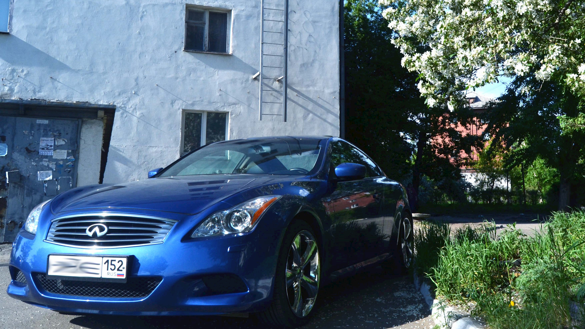 Infiniti G37 Coupe 3.7 бензиновый 2009 | FLEET Angel на DRIVE2