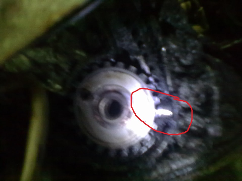 Замена ремня ГРМ ваз 2110. — DRIVE2