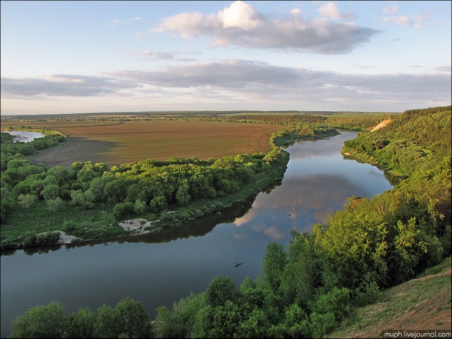 Колыбелка воронежская