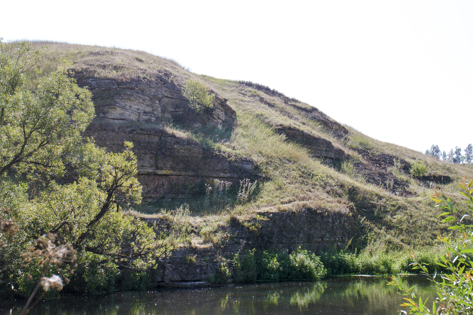 парк аргамач липецкая