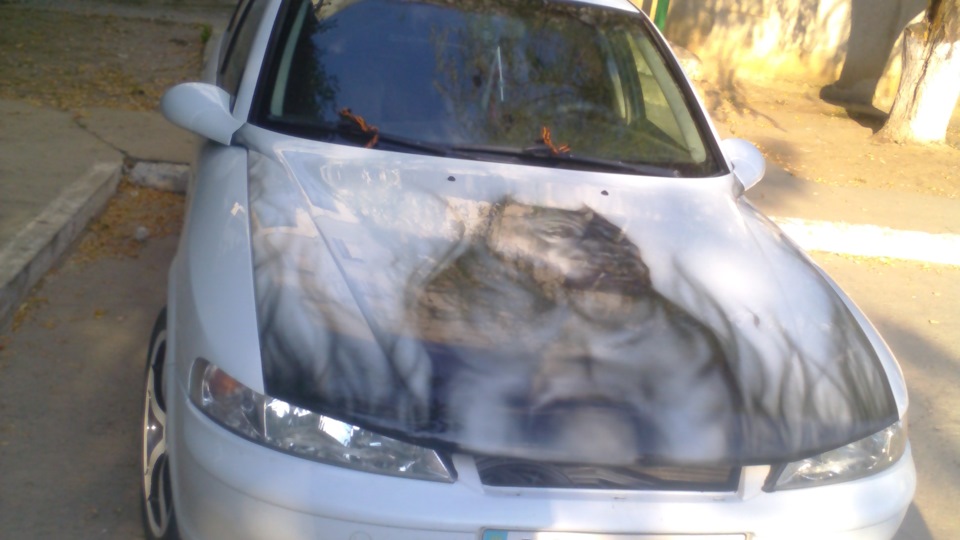 Кто может помочь, как настроить электронную педаль газа? — Opel Vectra ...