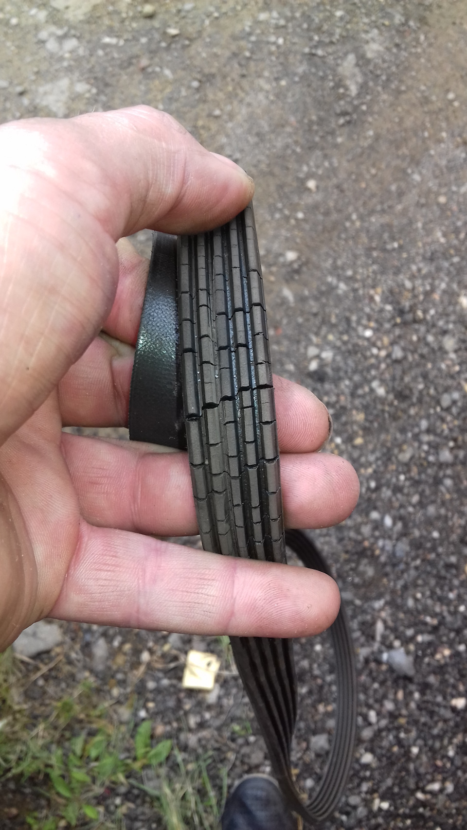 Фото в бортжурнале Mitsubishi Galant (8G)