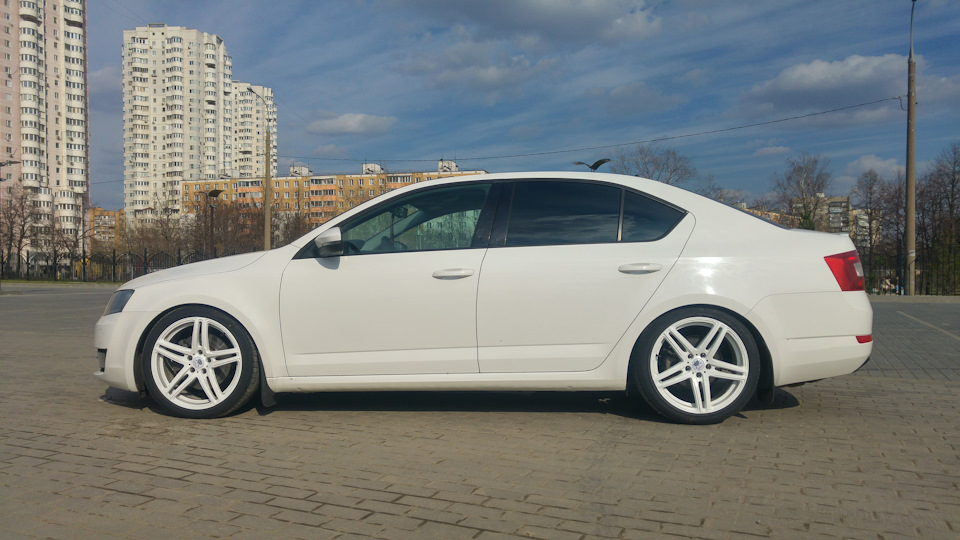 Фото в бортжурнале Skoda Octavia A7 Mk3