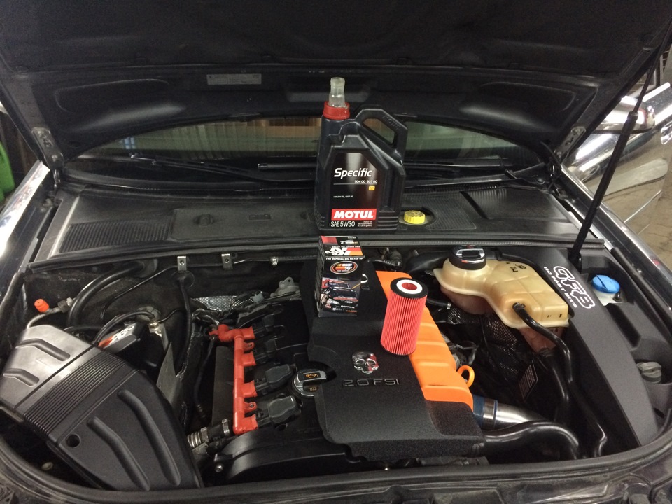 Motul + K&N — Audi A4 (B7), 2 л, 2007 года | плановое ТО | DRIVE2