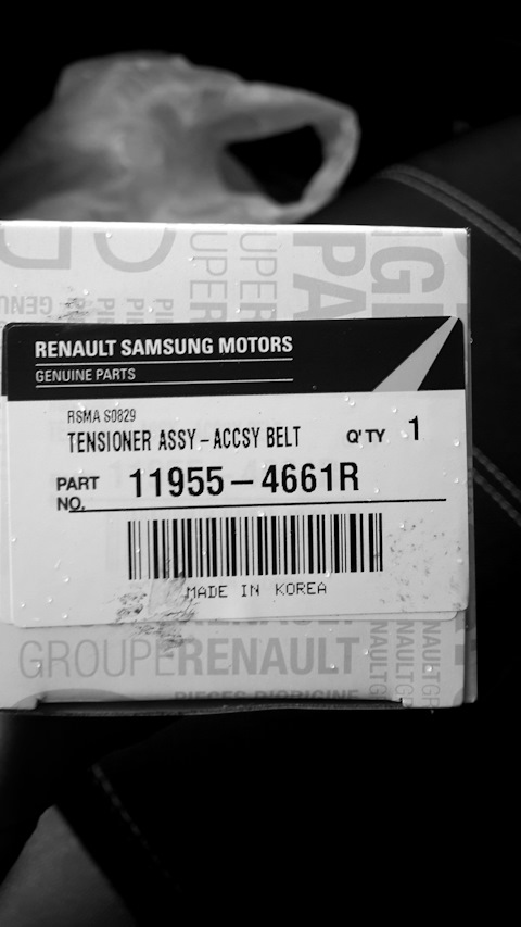 119554661R Ролик RENAULT | Запчасти на DRIVE2