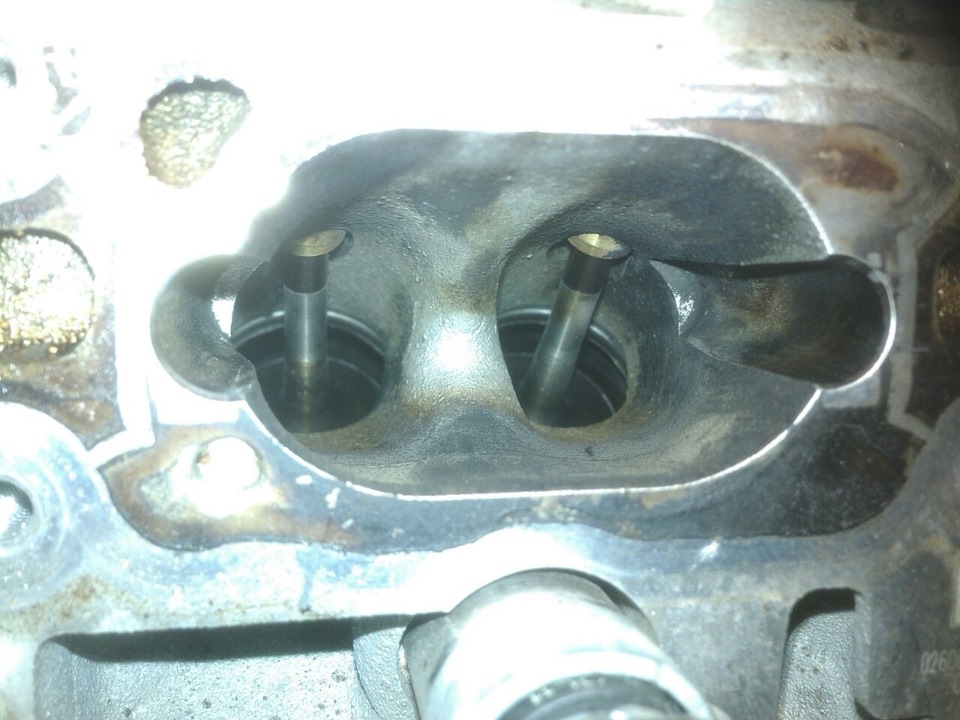 чистота) — Skoda Octavia RS A7 Mk3