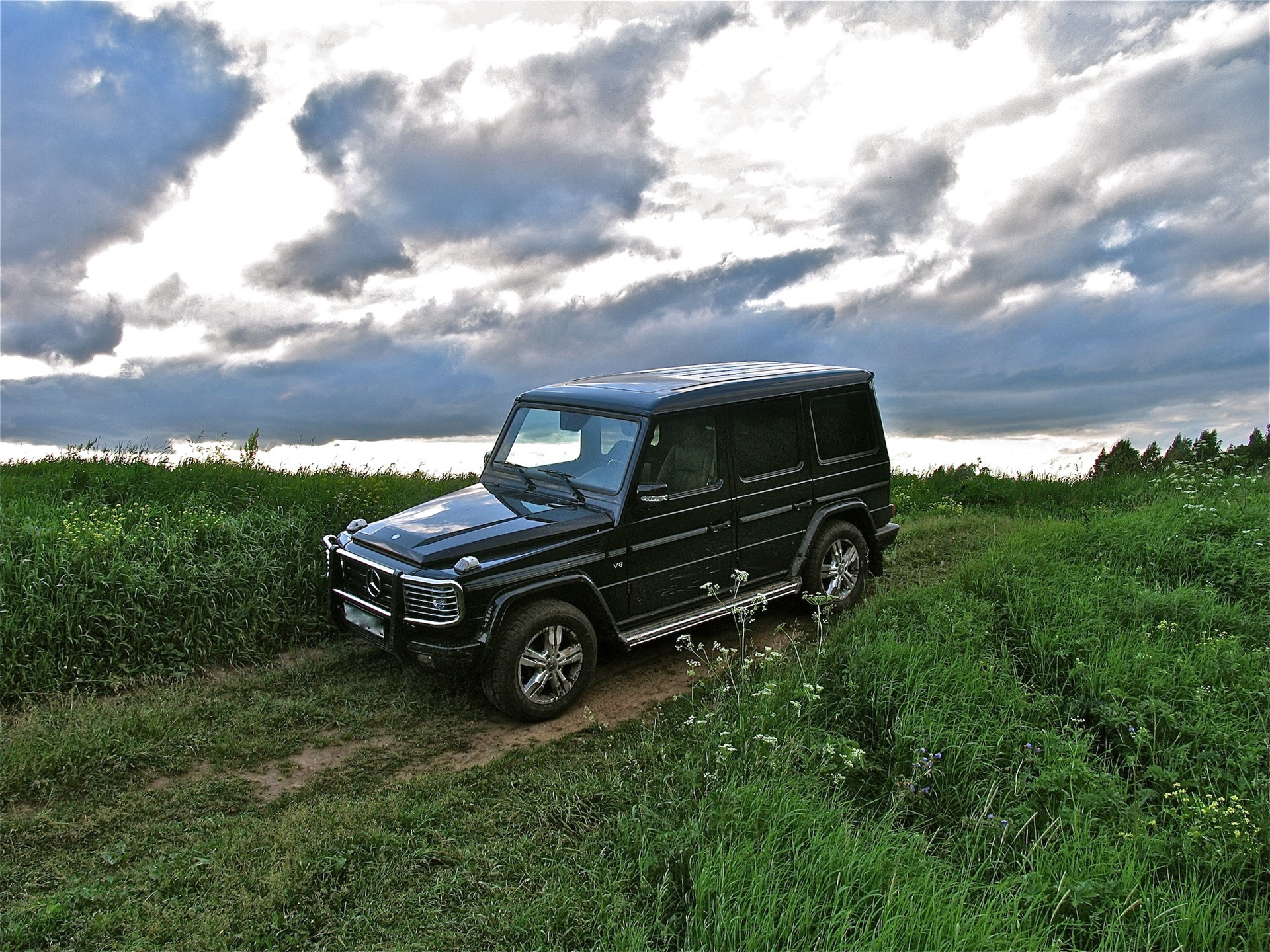 Единение с природой — Mercedes-Benz G-Class (W463), 5,5 л, 2008 года |  покатушки | DRIVE2