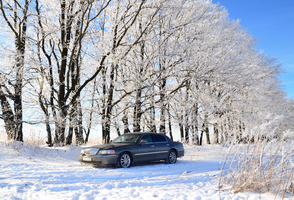 Еще одна Дубовая посадка, причем очень старая… посажена в конце 40-х годов ХХ века. Жители деревни сажали ее желудями! Дубы выросли просто сказочными исполинами!) — Lincoln Town Car III