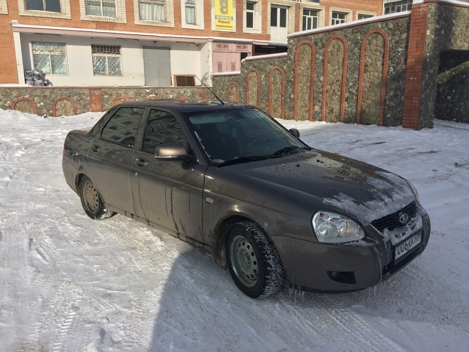 Приора кориандр на болотных штампах