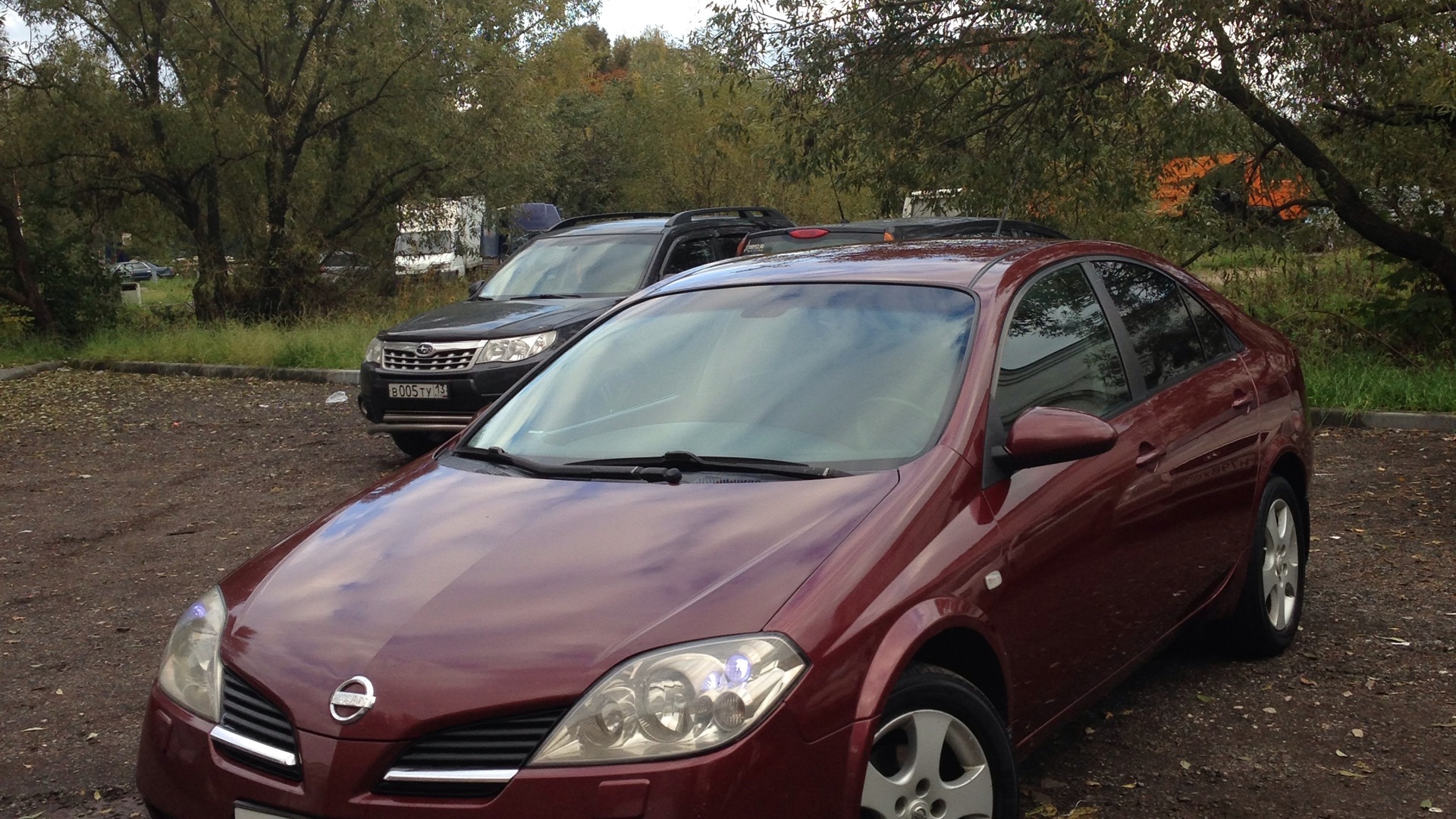 Nissan Primera (P12) 1.8 бензиновый 2003 | Вишневая 