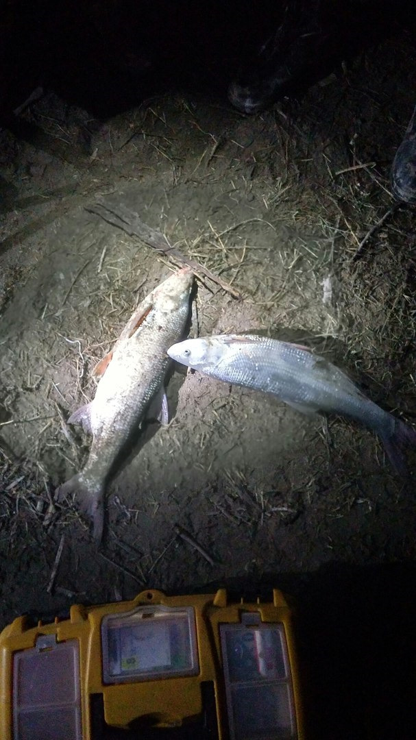 Весенний жерех, или езда без 4-й скорости — Mitsubishi Delica (L400), 2 ...