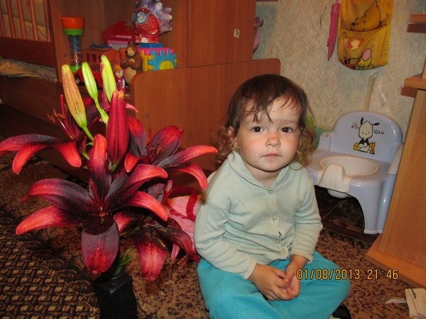 Искры нет ((( Куплю трамблер или катушку зажигания ! — Honda Civic ...