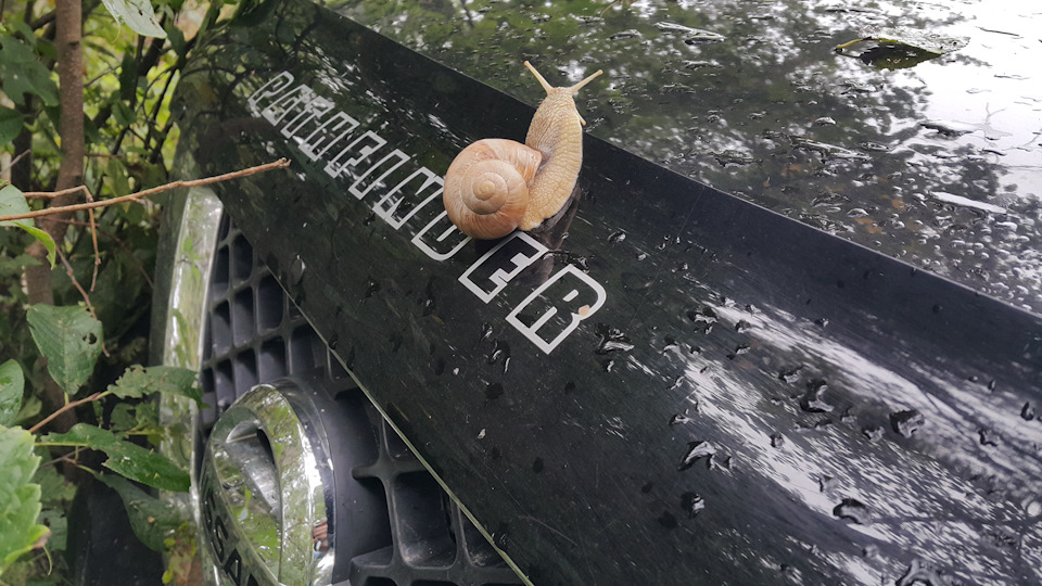 Маленький следопыт. — DRIVE2