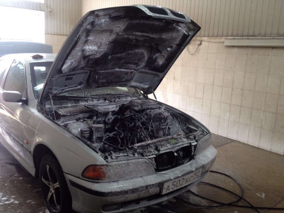 Отмываем подкапотное. — BMW 5 series (E39), 2,3 л, 1997 года | мойка ...