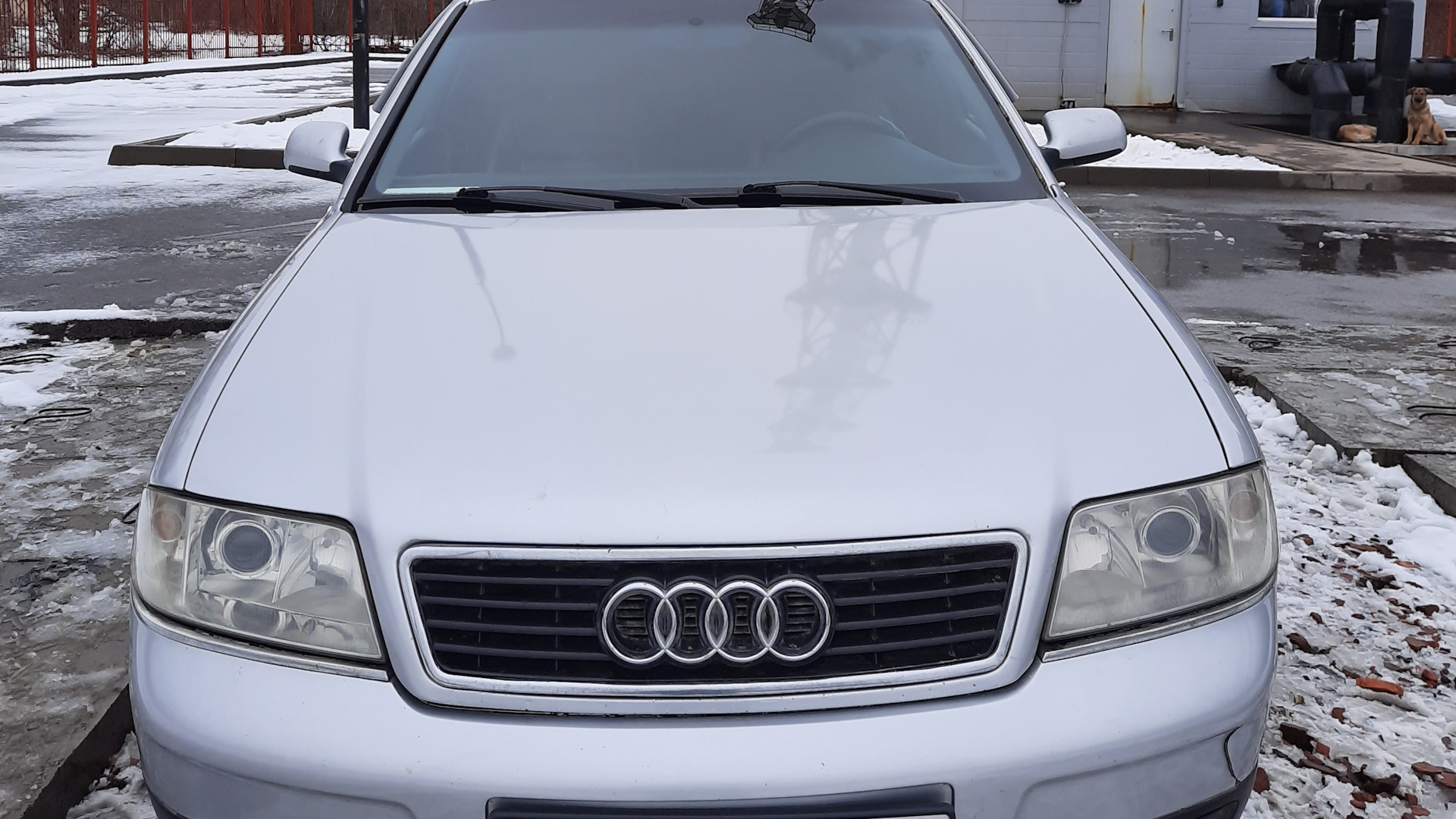 Audi A6 Avant (C5) 2.5 дизельный 2000 | 2,5 TDI Турбо сарай на DRIVE2