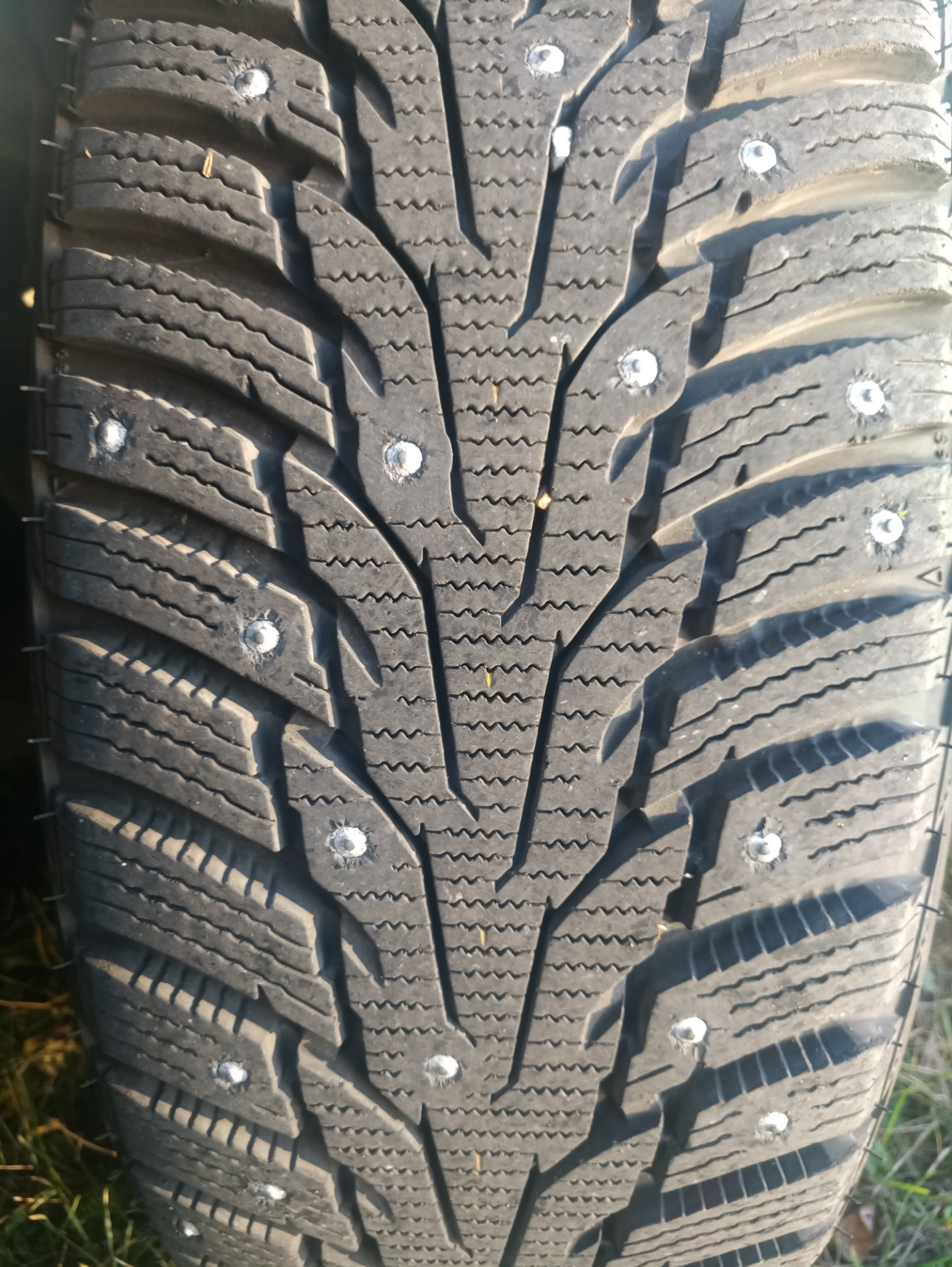 Шипованная резина нексен. Winguard WINSPIKE wh62. Winguard WINSPIKE wh62 зима. Nexen wh62. 205/55r16 Nexen Winguard WINSPIKE wh62 шип (94t).