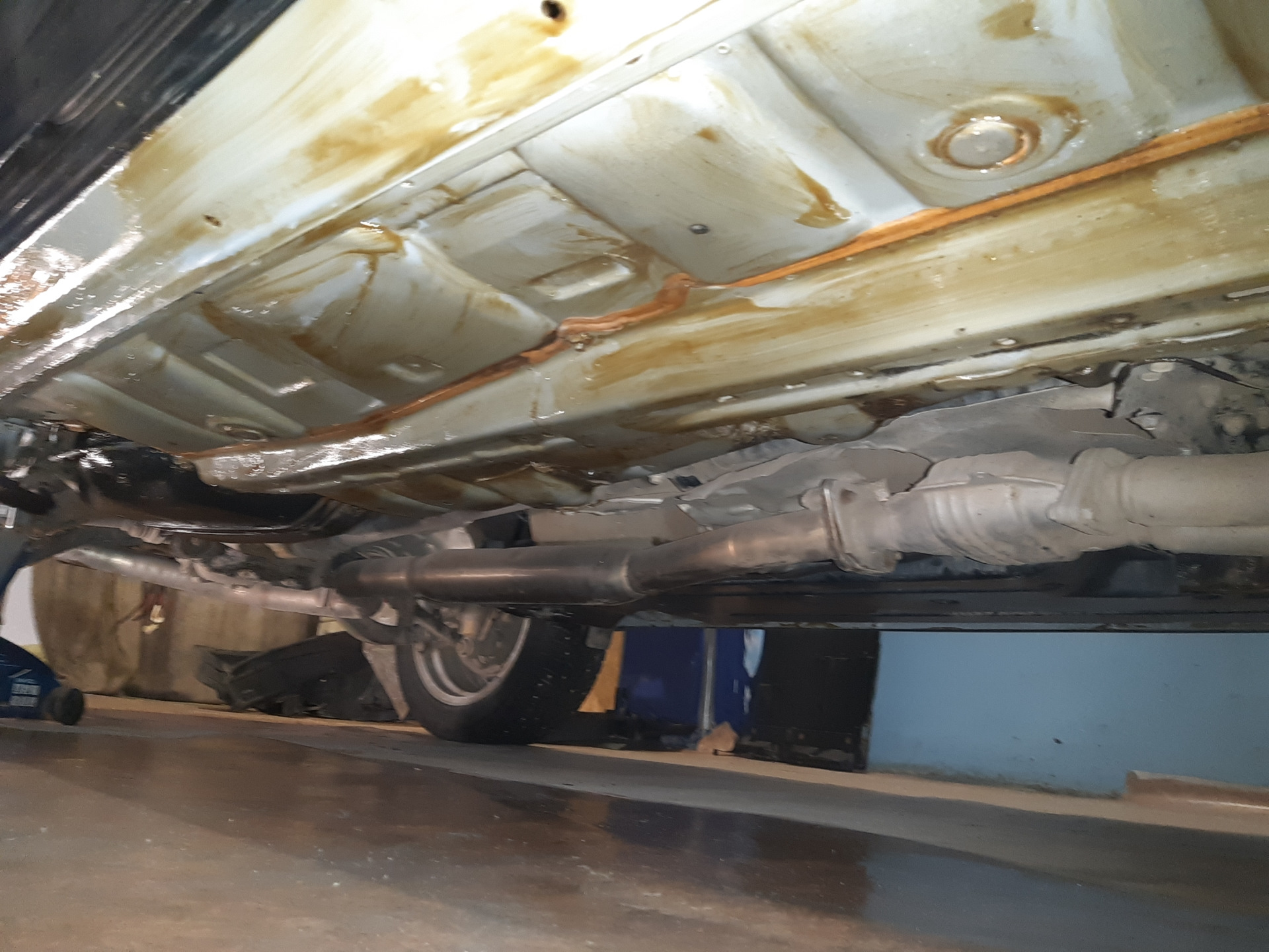 Антикор днища пушечным салом. Пушсало обработка днища автомобиля. Пушечное сало для днища автомобиля. Пушсало обработка днища автомобиля. Амс-3 антикор.