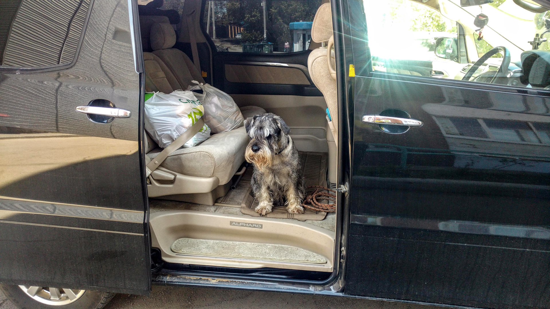 сдвижные двери тойота альфард