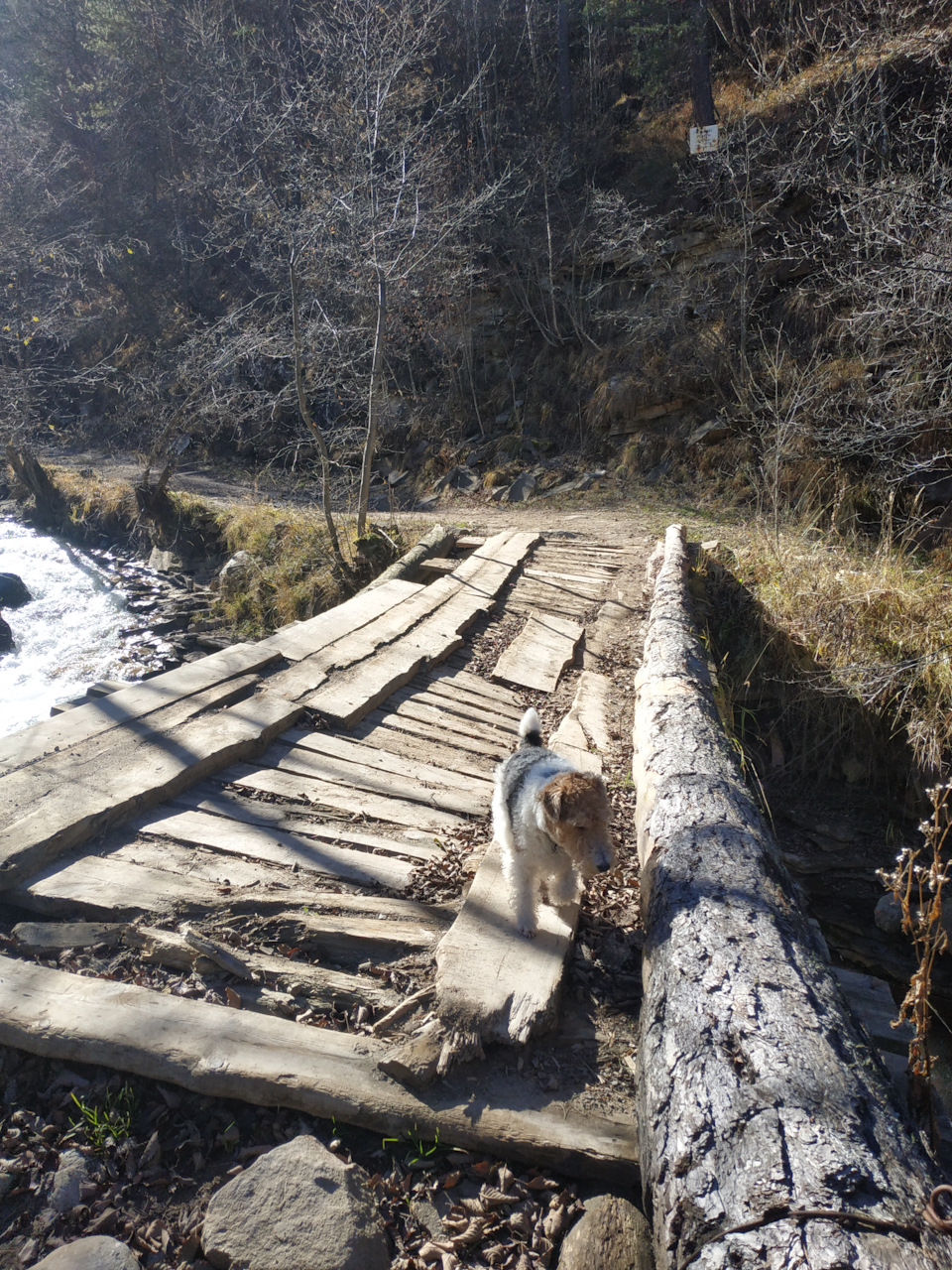 А это на притоке, дорога на кош — Mitsubishi Pajero (4G)