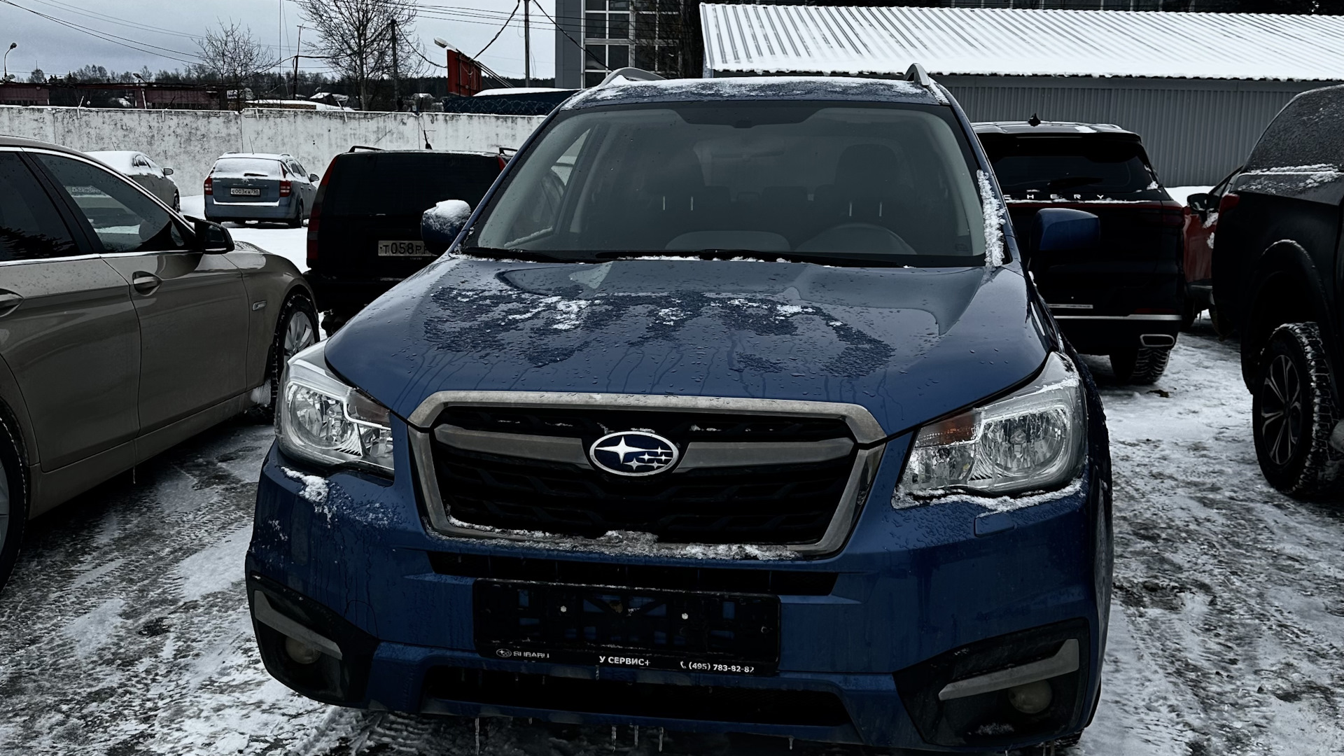 Subaru Forester (SJ) 2.0 бензиновый 2017 | на DRIVE2