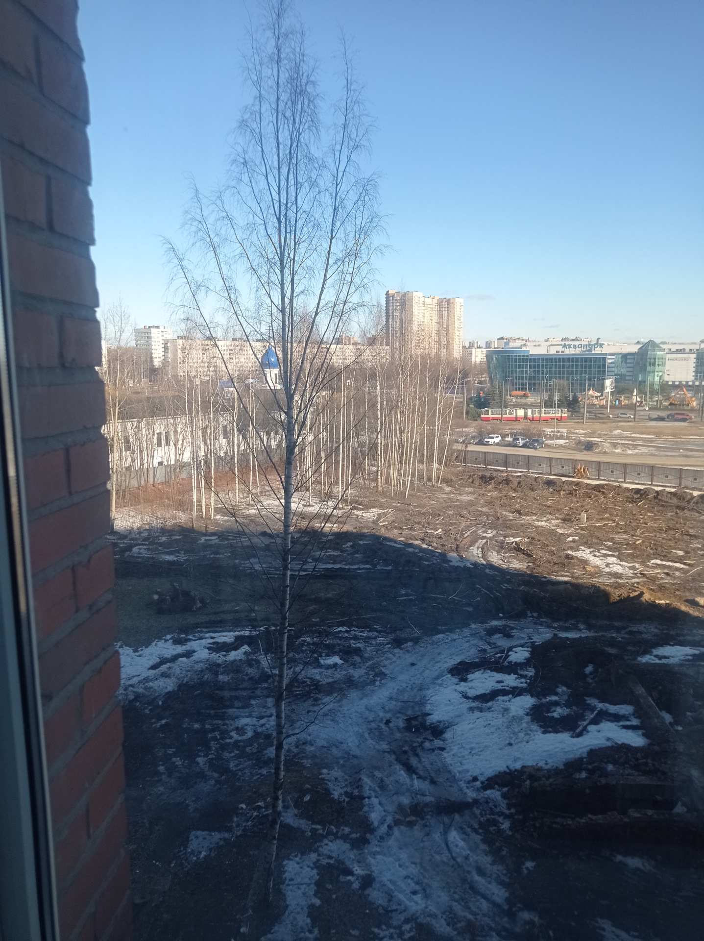 Весна пришла распустились почки — DRIVE2