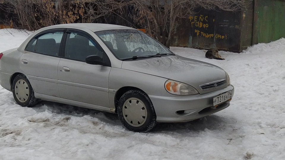 KIA Rio