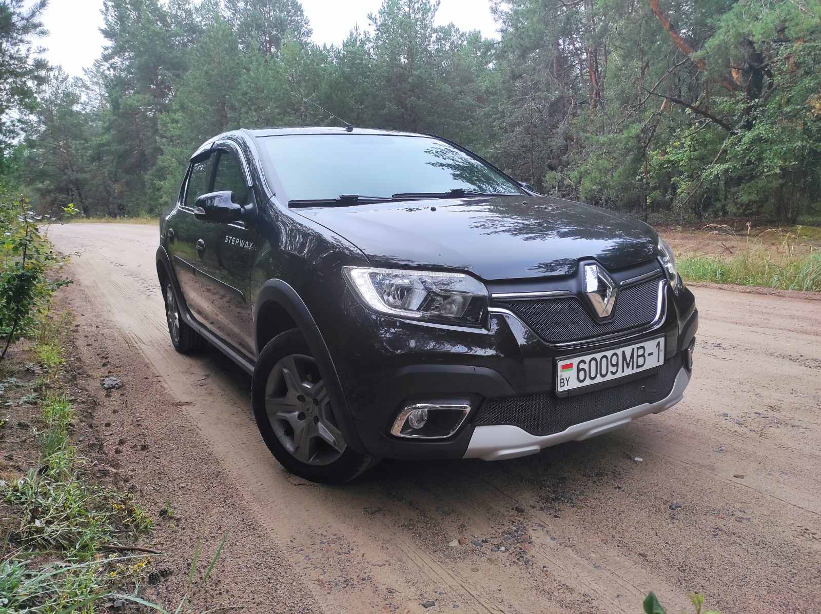 Инвестиции в расходники для Рено — Renault Logan Stepway, 1,6 л, 2019 года  | расходники | DRIVE2