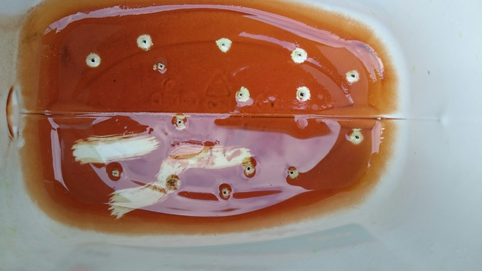 NEXIA — Антифриз феликс felix через два года в бутылке — Daewoo Nexia ...